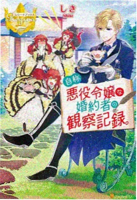 憧憬成为魔法少女超清